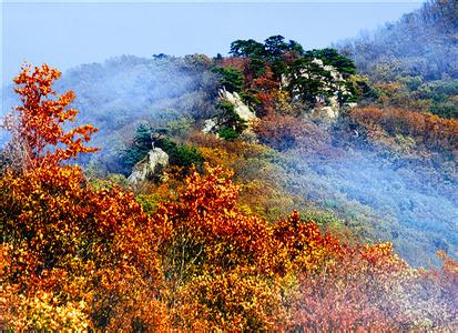 西丰天气预报10天查询