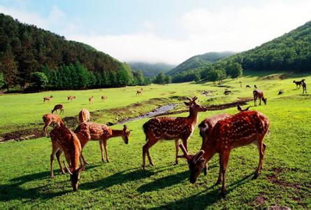 金山屯天气预报10天查询