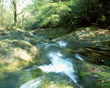 清涧天气预报10天查询