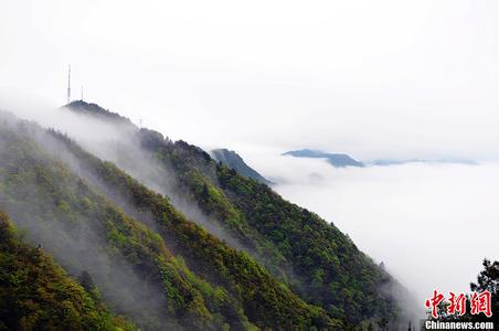 萍乡湘东天气预报_湘东天气预报一周7天10天15天萍乡湘东天气预报,湘东天气预报一周7天10天15天