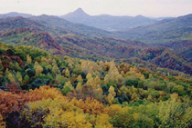 阿城松峰山自然保护区