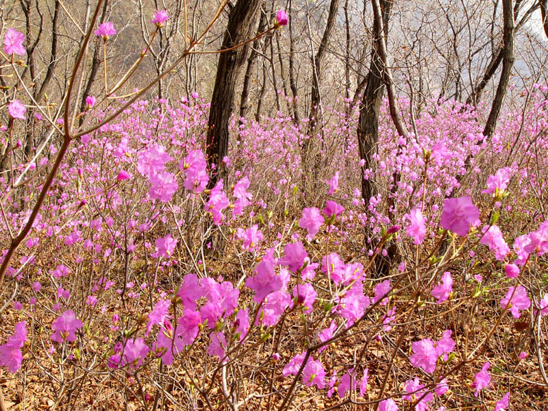 常州茅山