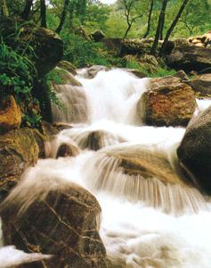 临沂蒙阴蒙山天气