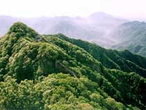 焦作王屋山风景区天气