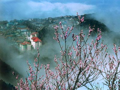 庐山东林大峡谷生态文化旅游休闲度假区