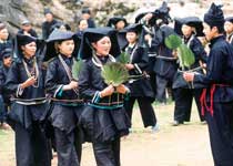 那坡吞力黑衣壮山寨天气