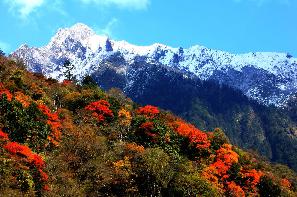 雅安东拉山大峡谷天气